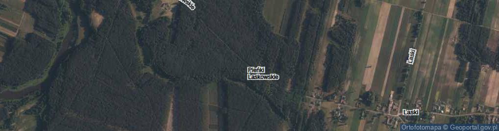 Zdjęcie satelitarne Pieńki Laskowskie ul.